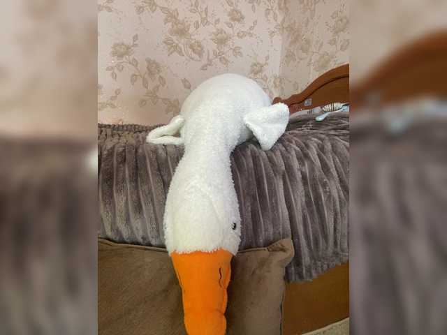 sashhhkino's BongaCams show and profile