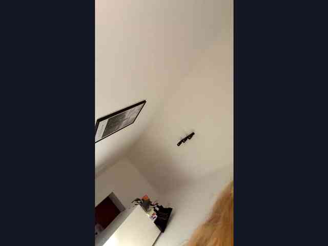 StephaniDrouillard webcam