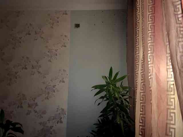 ChristiaPettet webcam