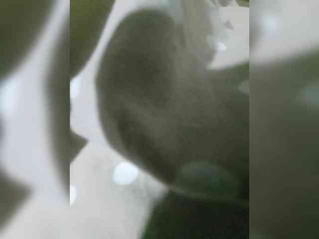 Sorry1223sv1 Sorry1223sv1