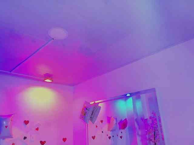 Alondra-gomex Alondra-gomex