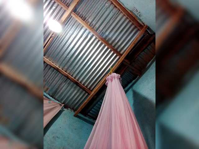 254caster's BongaCams show and profile