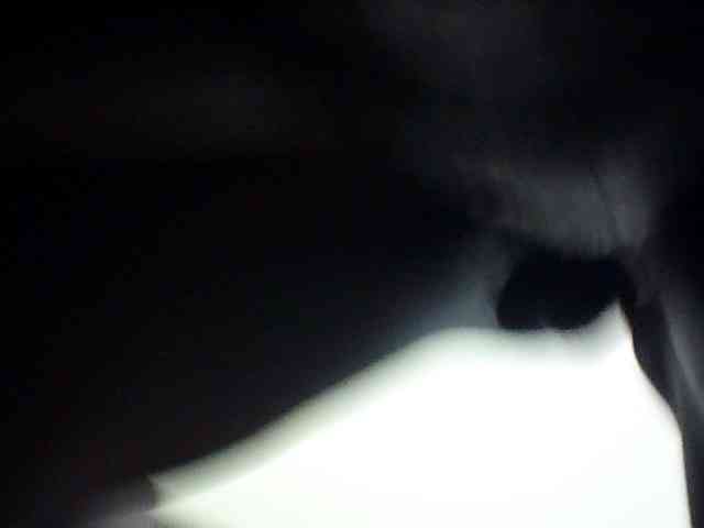 prettyyoungthing1 webcam