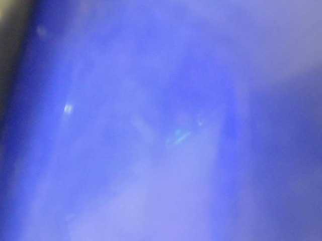 Sexy Petit Queen (Sexy-petitqueen)