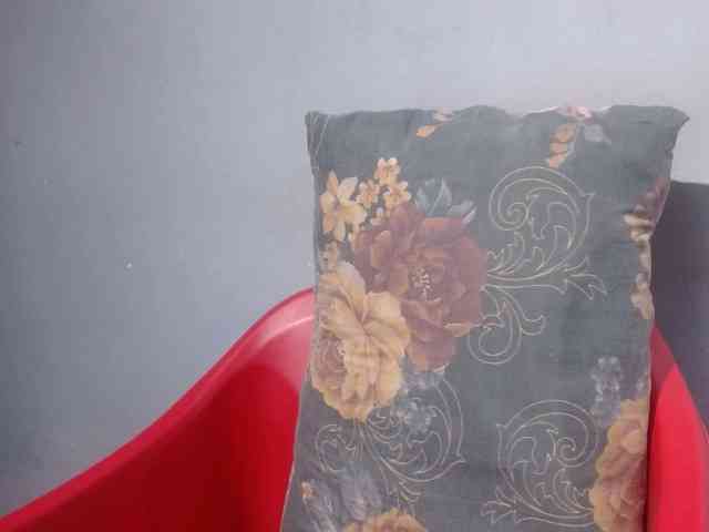 Sexy-petitqueen webcam