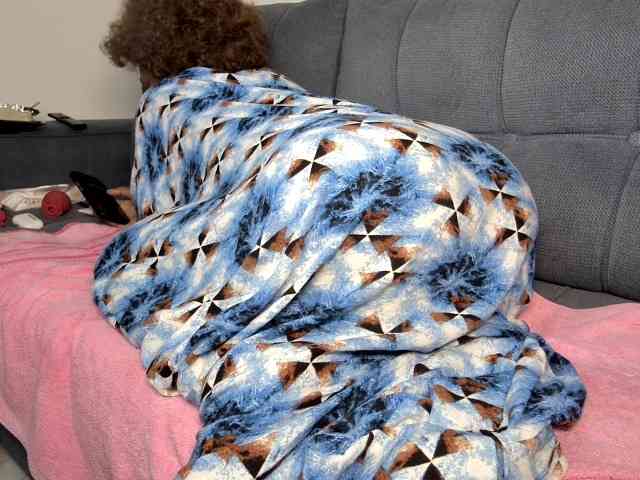 SexyBarbNickie webcam