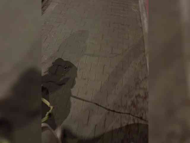 CrusherForFemaleRealPL