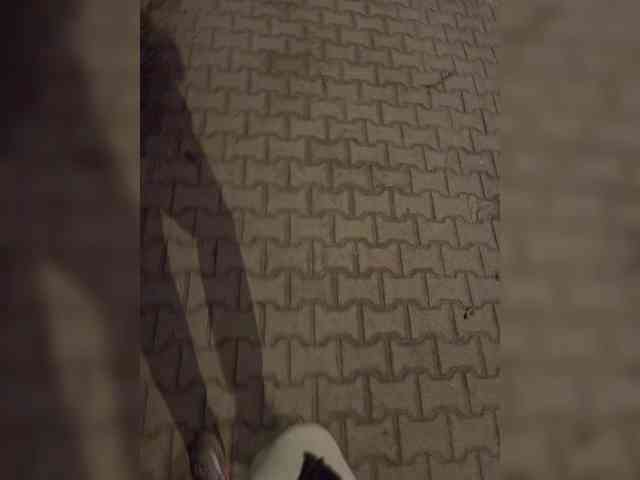 CrusherForFemaleRealPL CrusherForFemaleRealPL