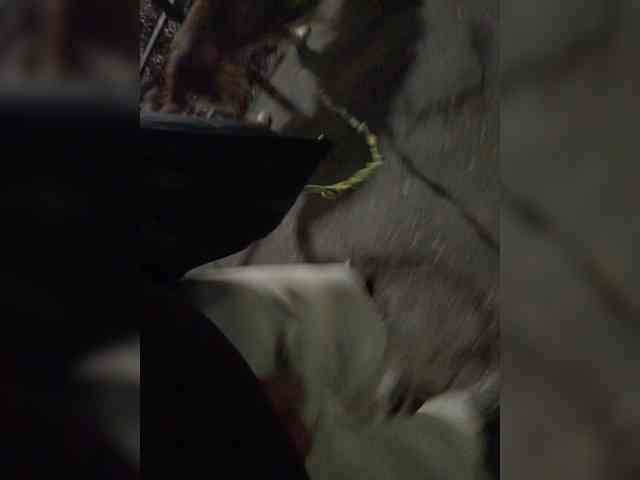 CrusherForFemaleRealPL