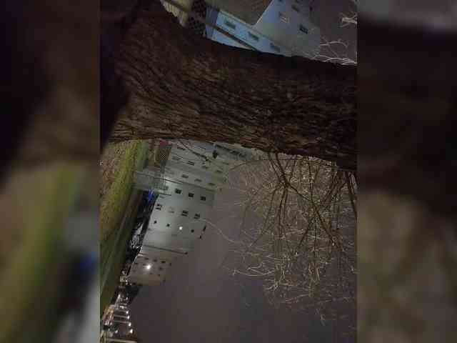 CrusherForFemaleRealPL