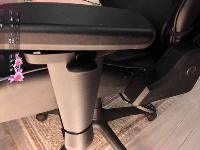 mikkylovely mikkylovely