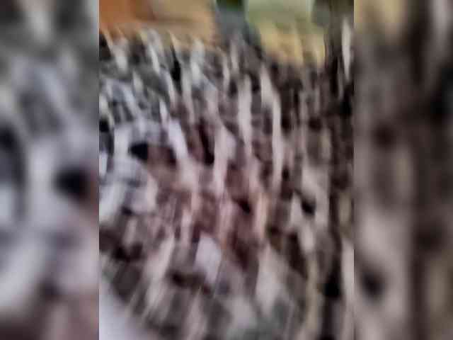 BlackWhite2000 webcam