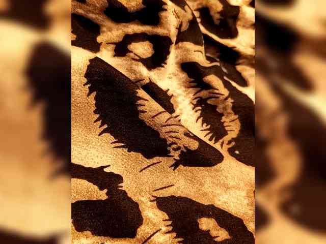 BlackWhite2000 webcam