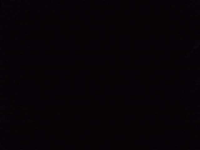 Chanel-Whitte's BongaCams show and profile