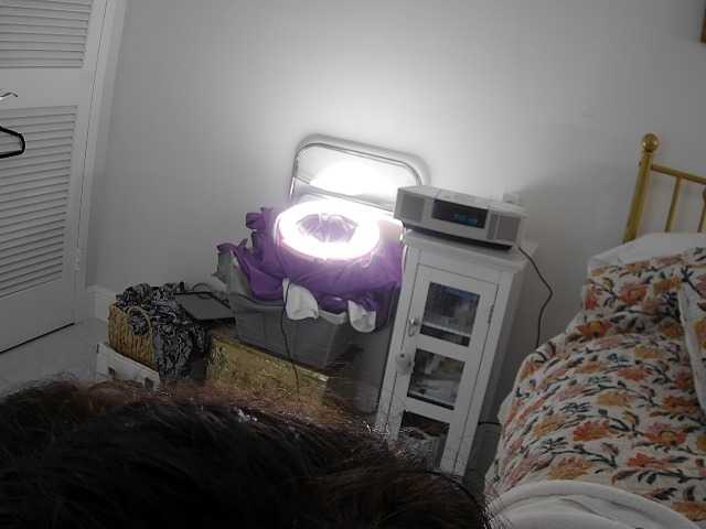 AlexisKay's BongaCams show and profile