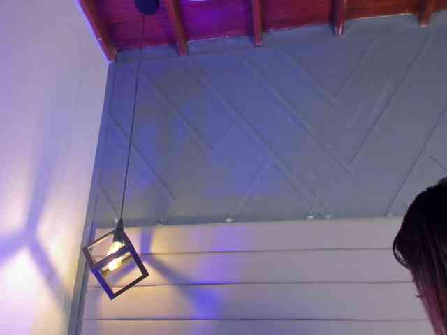 Cherry-Blooms webcam