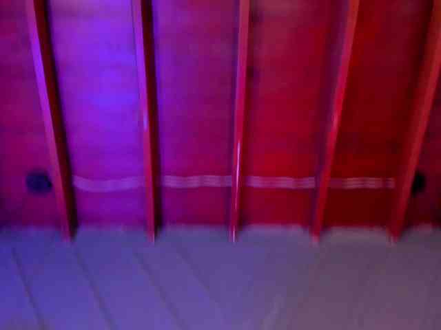 Cherry-Blooms webcam