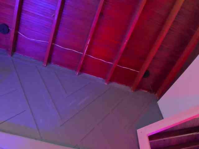 Cherry-Blooms webcam