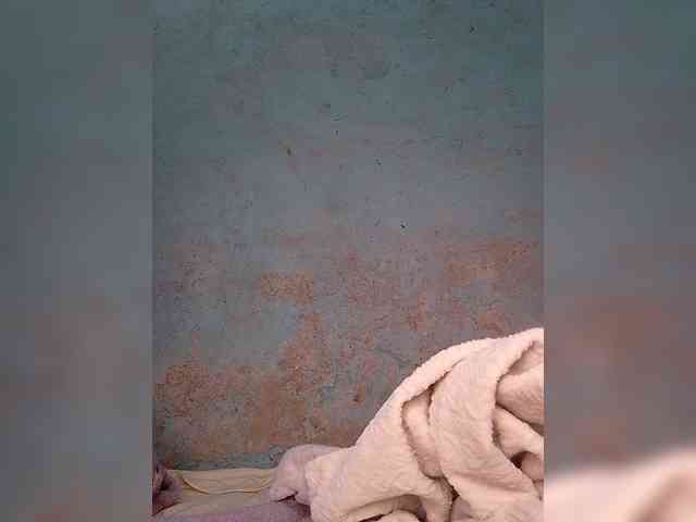 Reanaprekky Reanaprekky