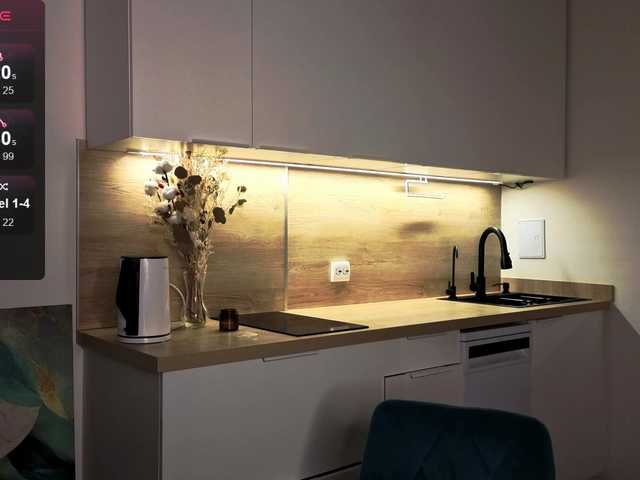 KotKiss's BongaCams show and profile