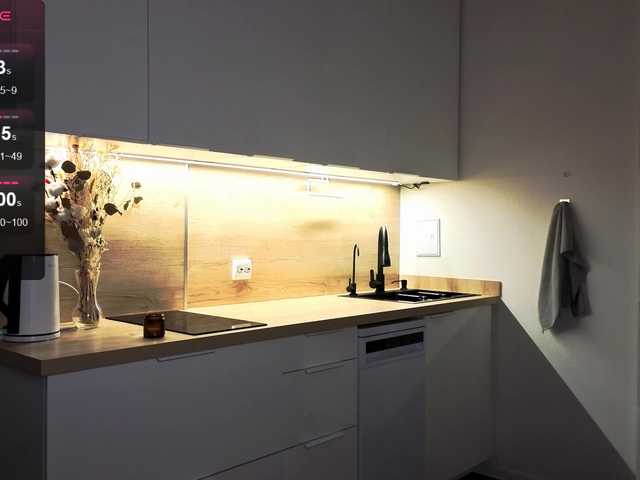 KotKiss webcam stream