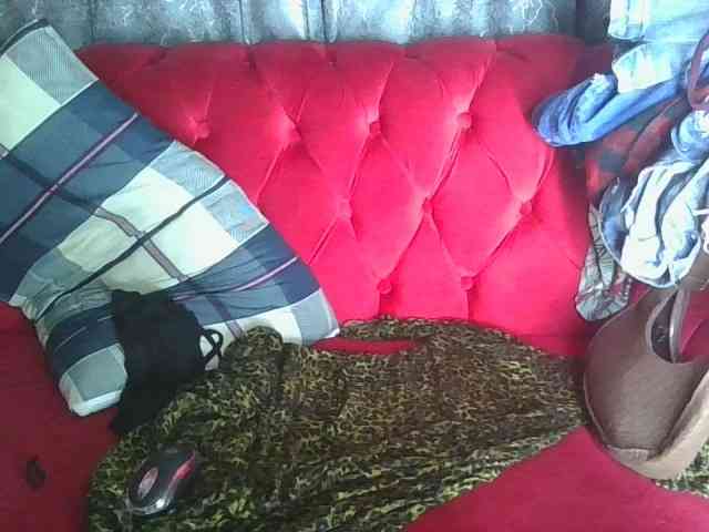 Bigboobs-lovense- webcam