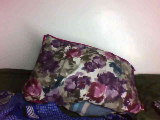 Bigboobs-lovense- webcam