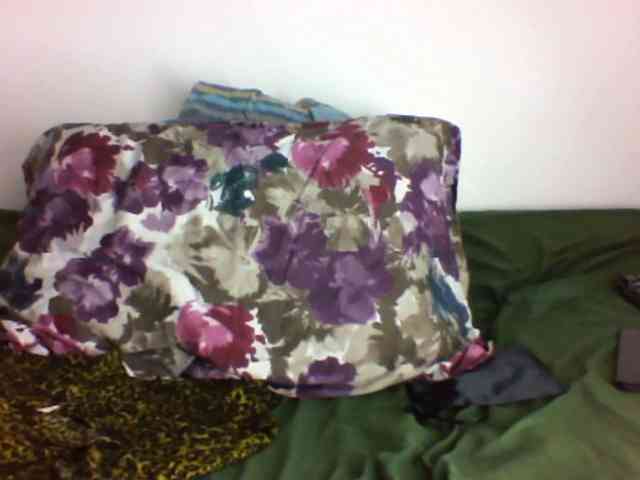 Bigboobs-lovense- webcam