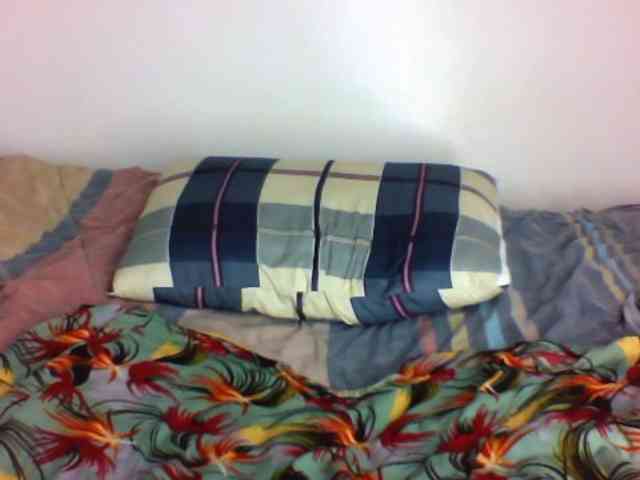 Bigboobs-lovense- webcam