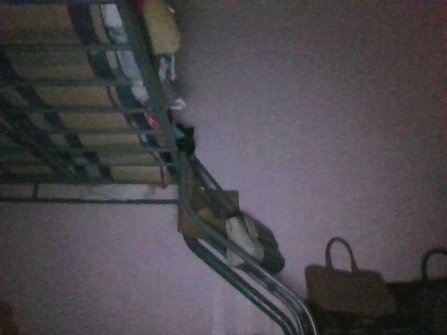 sungjoy08's BongaCams show and profile