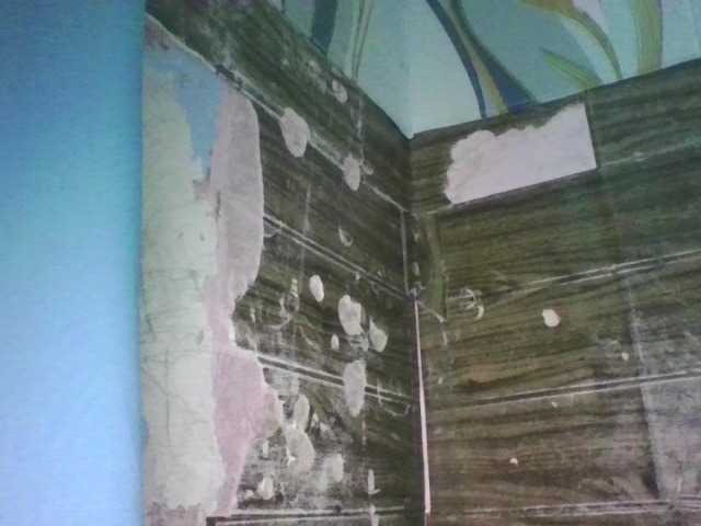 sungjoy08's BongaCams show and profile