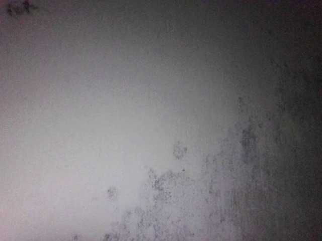 sungjoy08's BongaCams show and profile