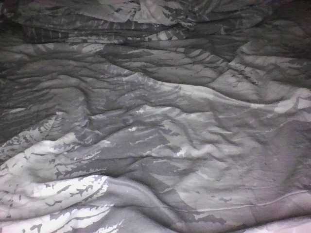 sungjoy08's BongaCams show and profile