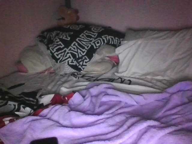 sungjoy08's BongaCams show and profile