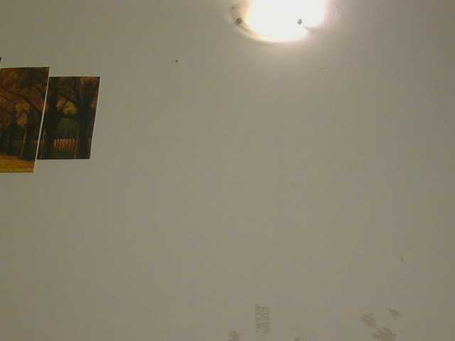 SultryAngels1's BongaCams show and profile