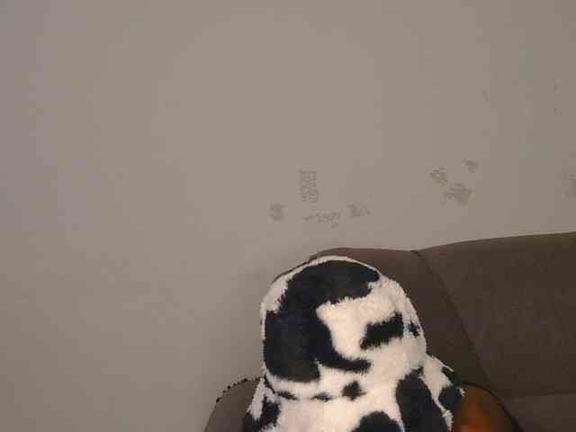 SultryAngels1 webcam