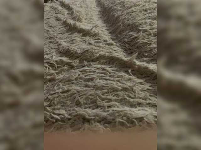 Msfantime – webcam model profile photo