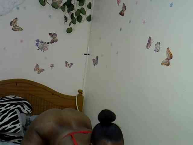 Prettykemi webcam