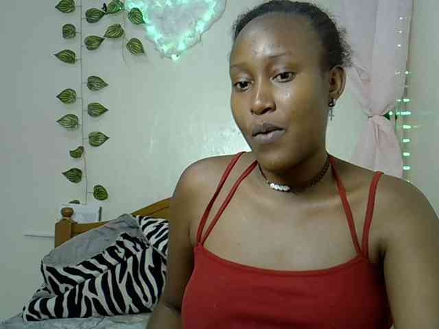 Prettykemi webcam