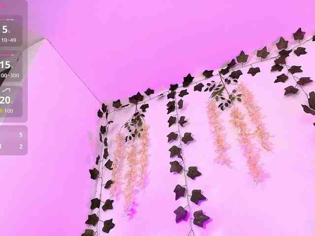 Stephanie-Fontaine webcam