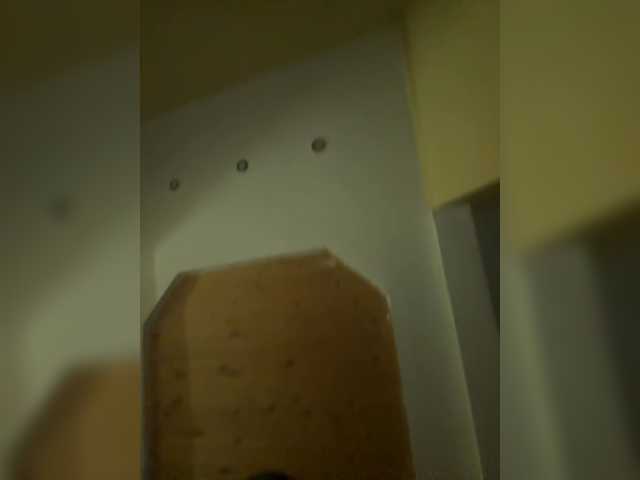 StarisLi's BongaCams show and profile