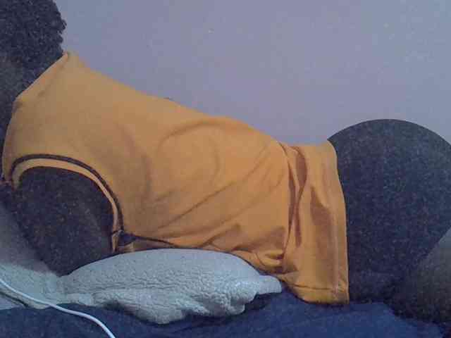 Ebonyprincess14 webcam