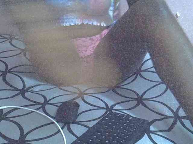 Ebonyprincess14 webcam