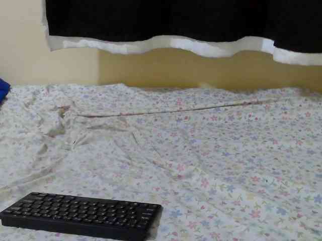 Ebonyprincess14 webcam