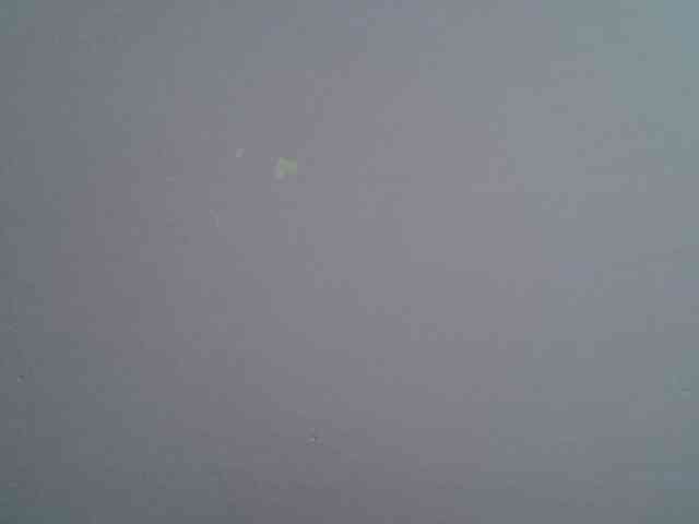 Ebonyprincess14 webcam