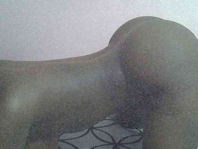 Ebonyprincess14 webcam