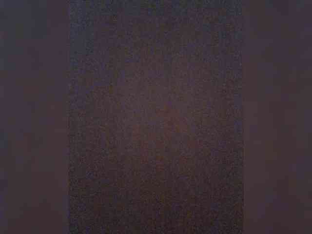 Lediskvirt48a webcam