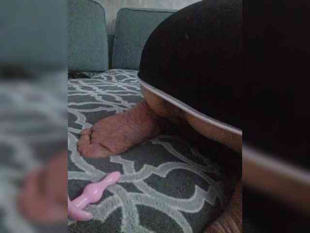 Lediskvirt48a webcam