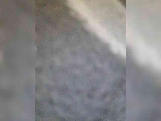 Lediskvirt48a webcam