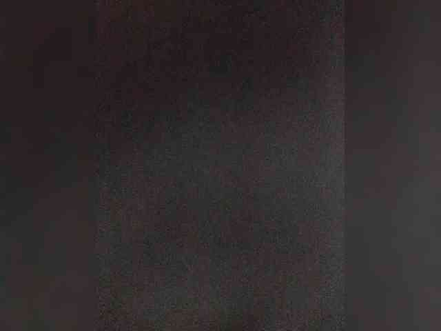 Lediskvirt48a webcam